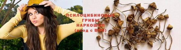 меф Армянск